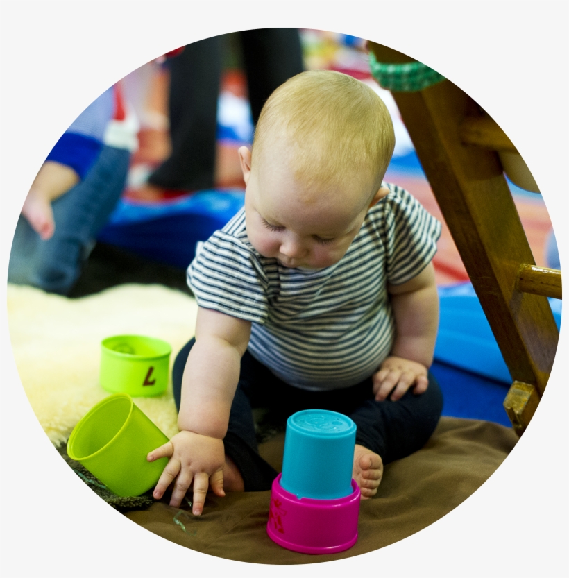 Crawling Echidnas - Play, transparent png