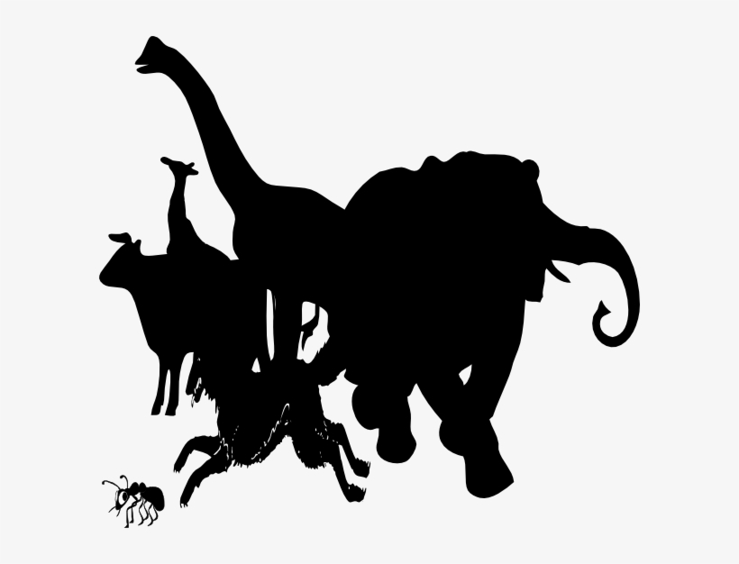 Vector Skeleton Stegosaurus - Ant Clip Art, transparent png