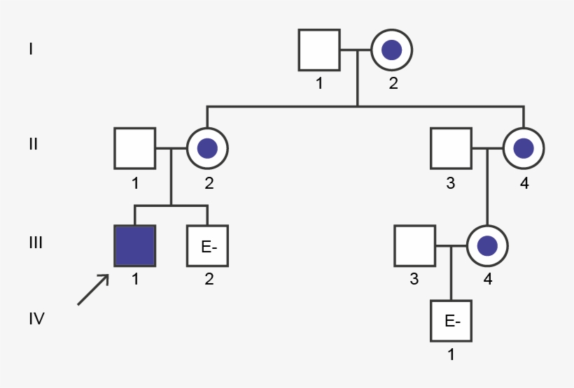 Fabry Disease Pedigree Analysis Case Study Diagram 1333x474 PNG