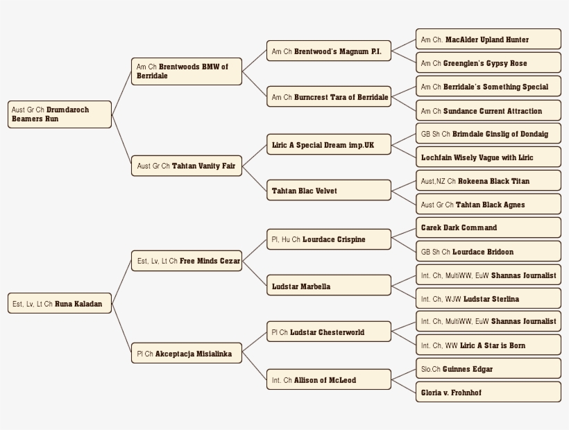 Saara Sugupuu - Family Tree, transparent png
