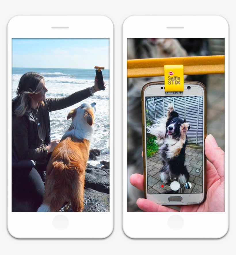 Bentley @becauseborder The Social Club Pedigree - Iphone, transparent png