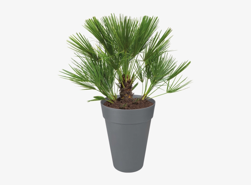 Home > Collection > Loft Urban Round High - Flowerpot, transparent png