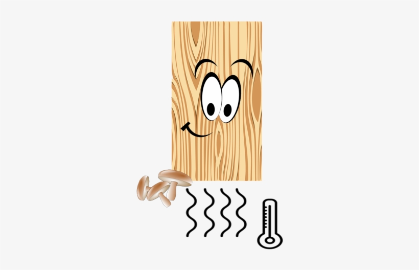 Wood Decomposition - Flirty Smiley Face Trucker Hat, Adult Unisex, White, transparent png
