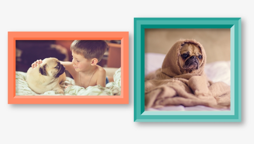 There Are Pugs That Require New Homes And Would Love - Pug's In A Blanket Lined Notebook: 120 Page, 5x8, Journal, transparent png