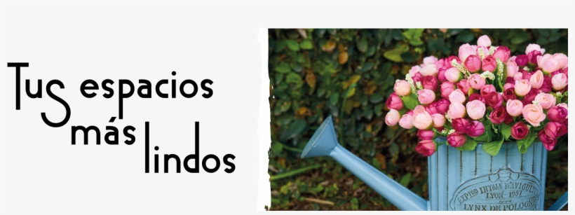 Reloj De Chapa Color Con Soga Para Ver Reloj De Chapa - Tulip, transparent png