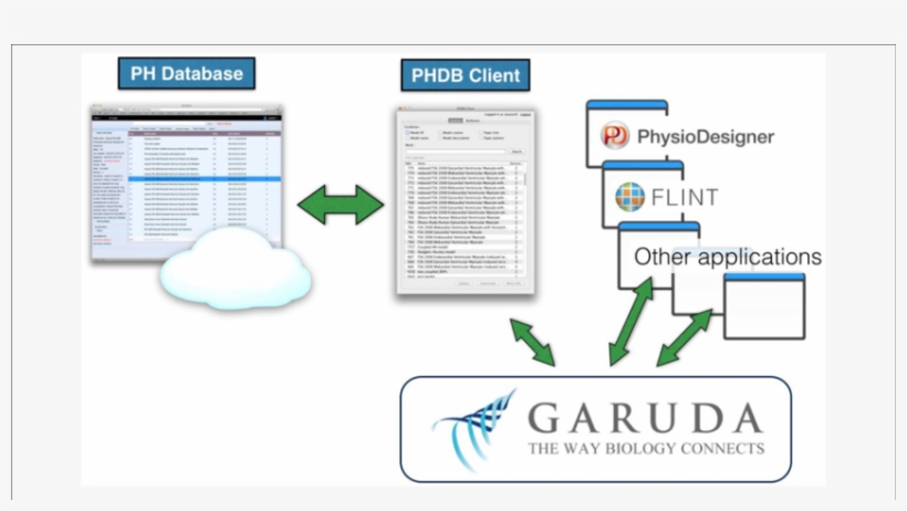 Schematic Diagram Showing How The Ph Database Interoperates - Database, transparent png