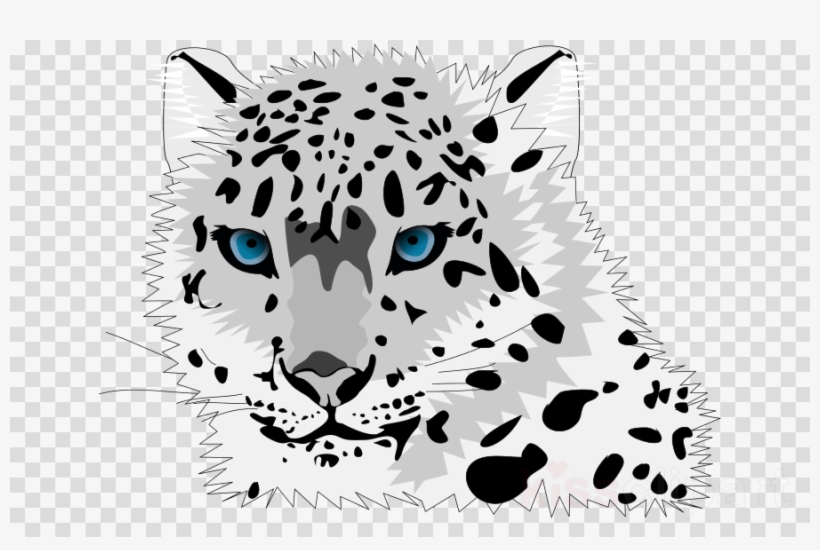 Clipart Resolution 708*543 - Cute Snow Leopard Clipart, transparent png