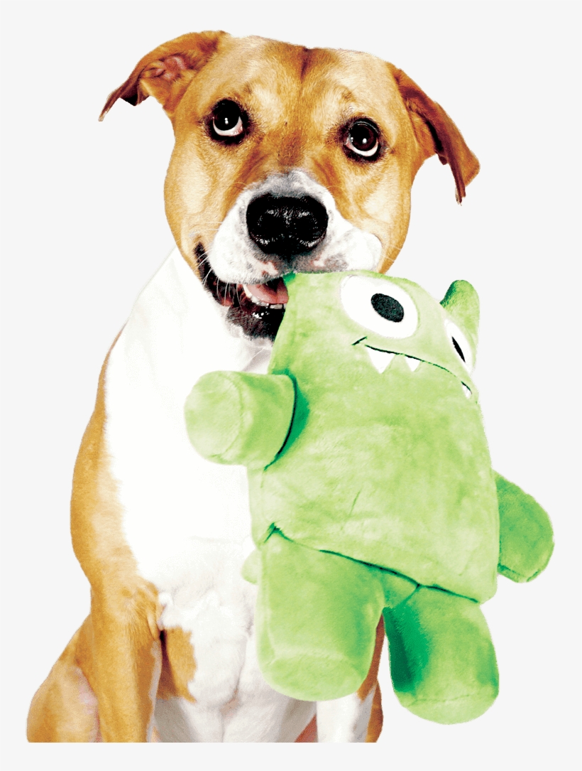 Dog Happily Holding On To Her Tearrible, A Plush Dog - Tearrible Dog Toy, transparent png