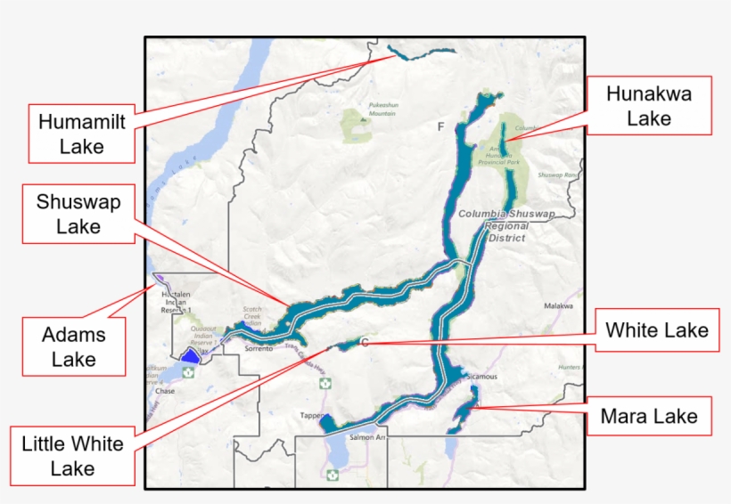 View Background Information And Comment Form - Atlas, transparent png
