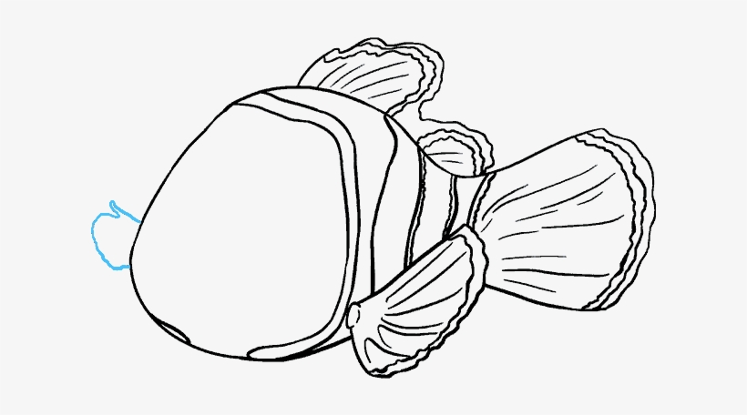 How To Draw Nemo In A Few - Nemo Drawing, transparent png