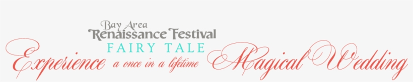 Elie Tahari Size 7 Brown High Boots, transparent png