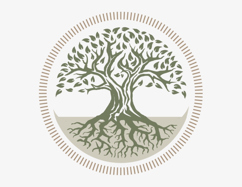 The Logo For “our Roots - Organic And Holistic, transparent png