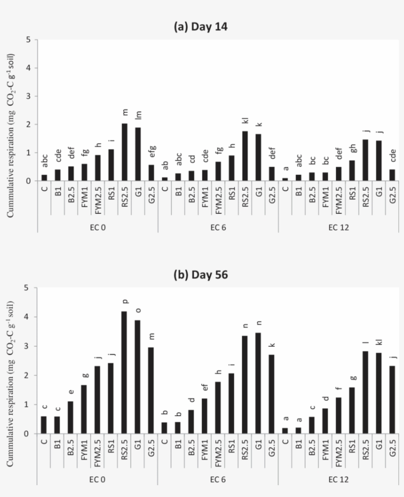Cumulative Respiration In Soil Samples Irrigated With - Metropolitan Area, transparent png