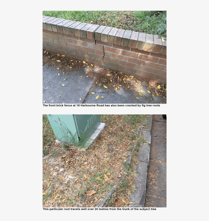 Attachment - Grass, transparent png