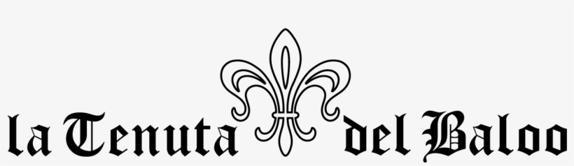 Note Cards (pk Of 20), transparent png