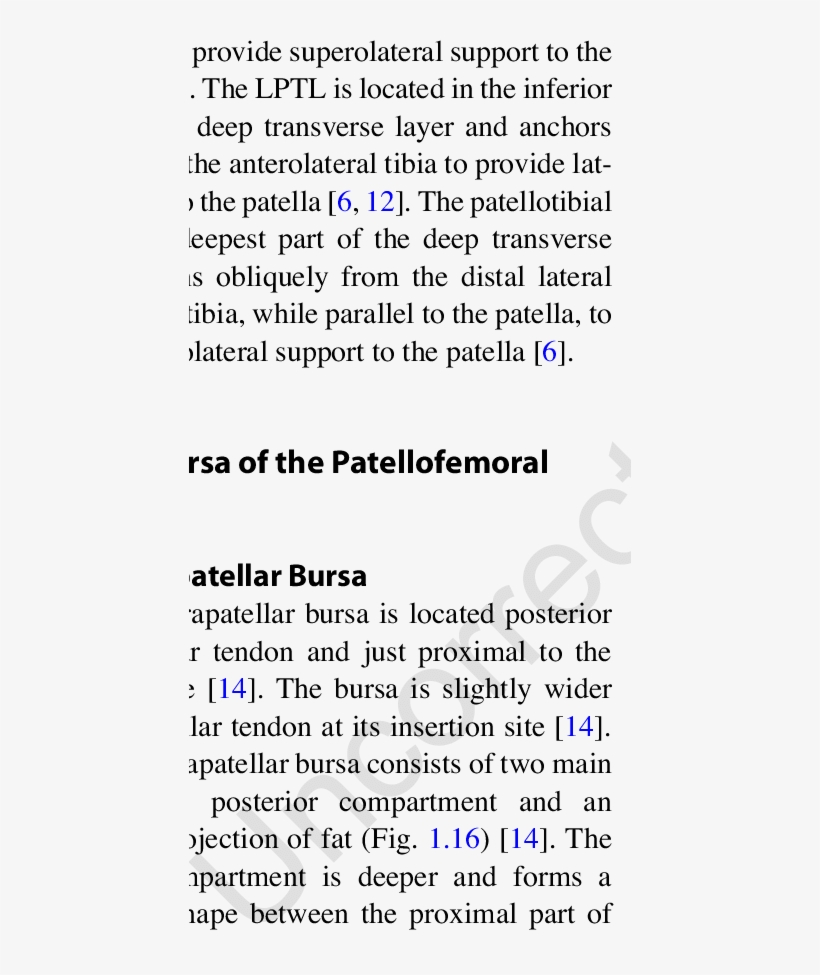 The Deep Infrapatellar Bursa In Relation To The Patella - Met Your Mother Quotes, transparent png