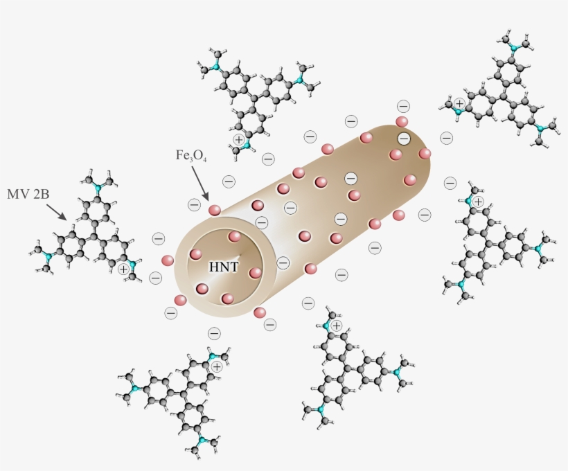 Fig8 Jwpe 2015 - Diagram, transparent png