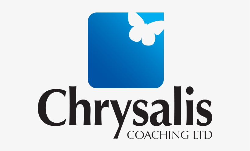 I Work With My Clients To Help Them Achieve What They - Chrysalis Msp, transparent png