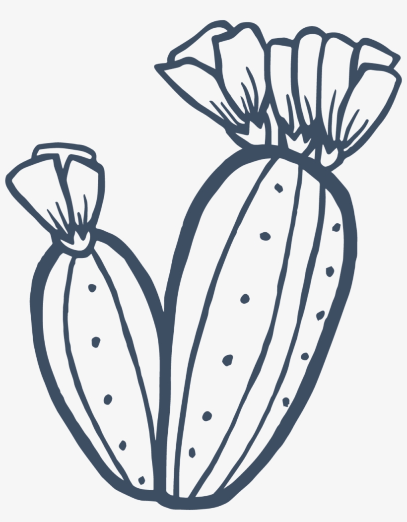 Hot Weather // Fast Food // Being High Maintenance - Cactus Blue, transparent png