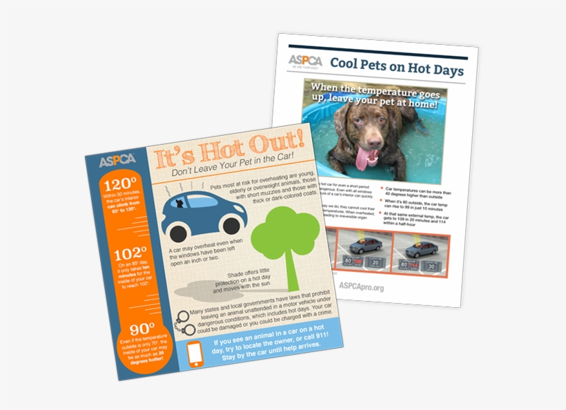 Animals, Cars And Hot Weather - Dog, transparent png