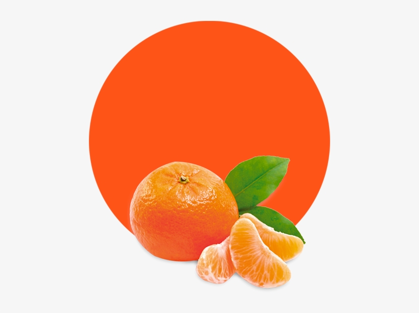 Clementine Oil - Shampoo Hempseed By The Wonder Seed, transparent png