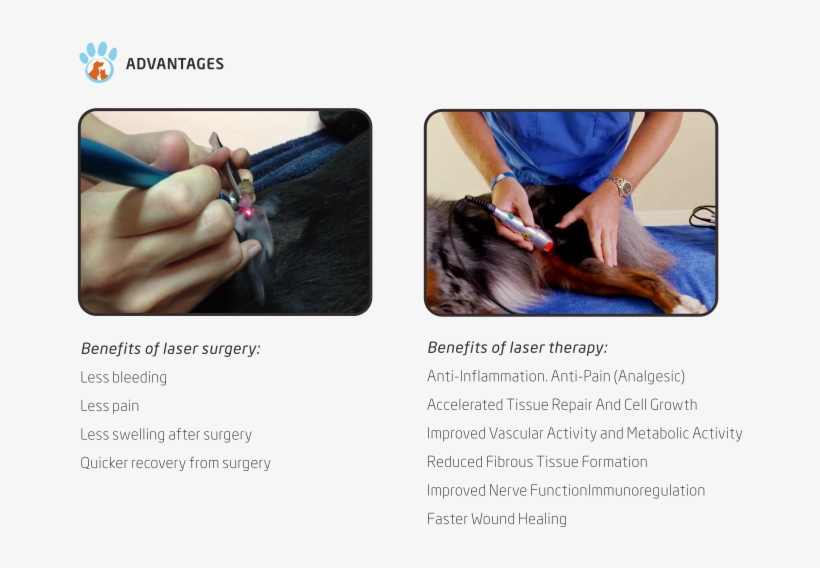 Good Selling Gbox Veterinary Laser Electrocautery - Low-level Laser Therapy, transparent png