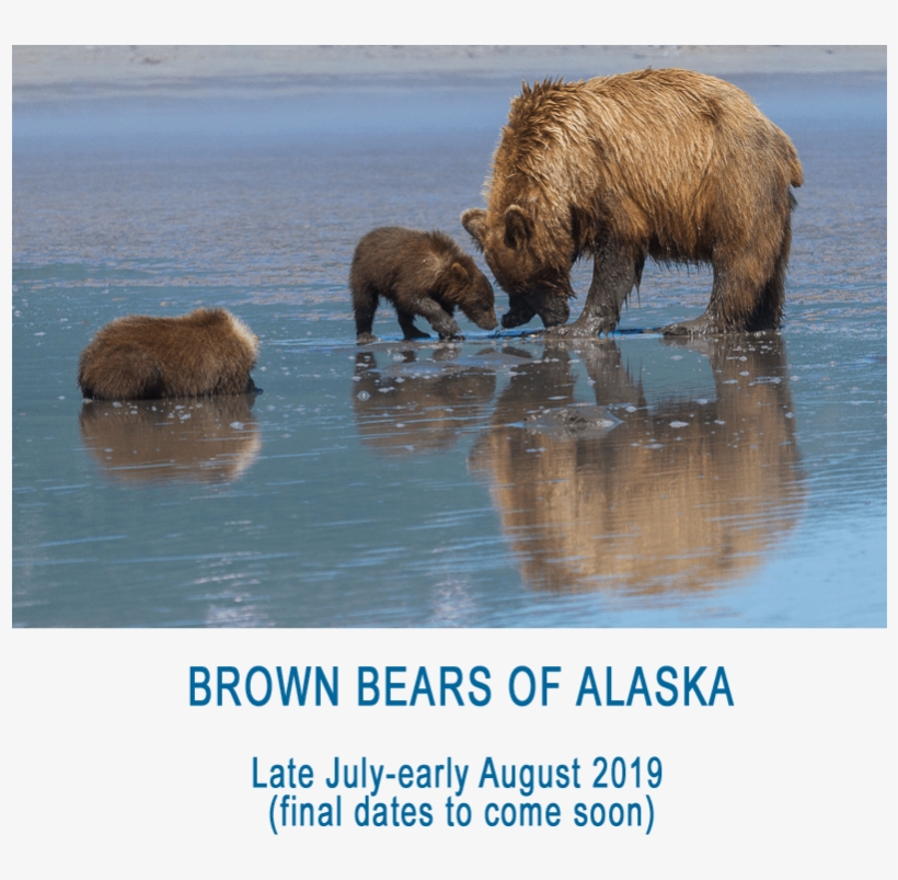 Click On An Icon Below And Share Away - Anchorage Alaska Map, transparent png