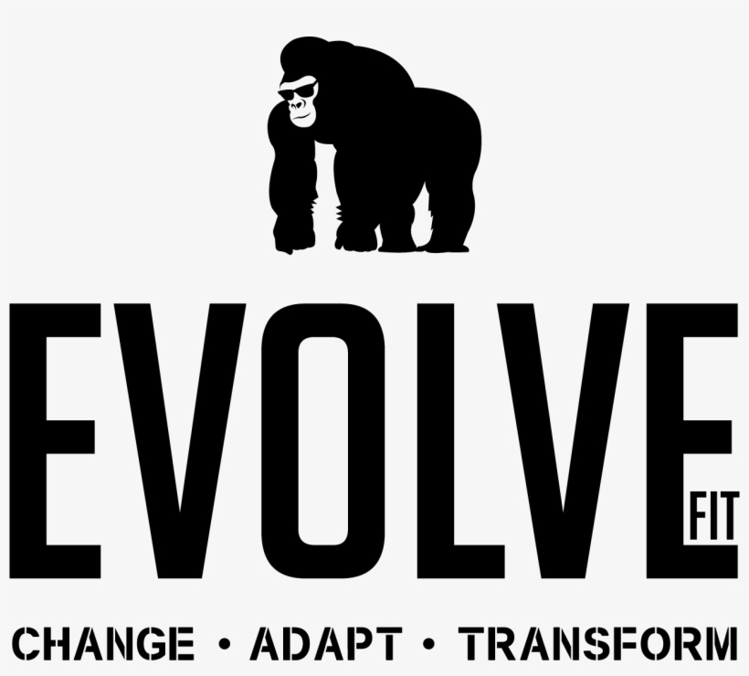 Coming Early 2019 - Logo, transparent png
