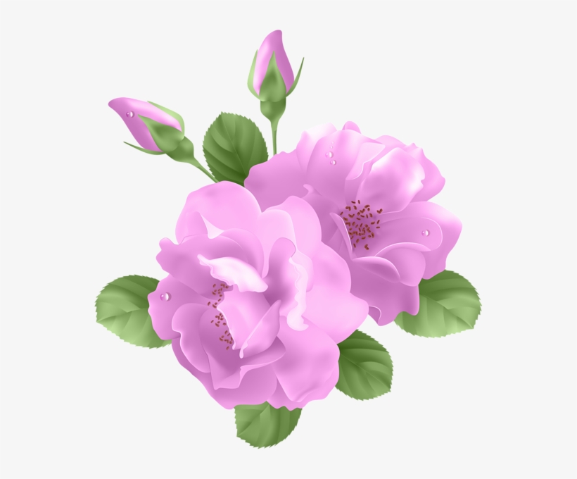 Compartir En Facebookcompartir - Purple Roses Clipart, transparent png