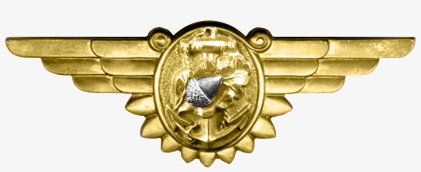 Wwii Naval Flight Nurse Insignia - Us Navy Flight Surgeon Insignia, transparent png