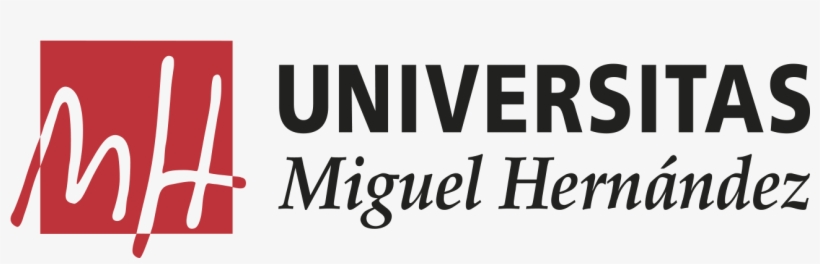 Del Seguro Obligatorio De Enfermedad A La Protección - Universidad Miguel Hernández De Elche, transparent png