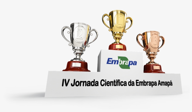 Participe Desta Jornada Onde Todos Saem Ganhando - 1st 2nd 3rd Place, transparent png