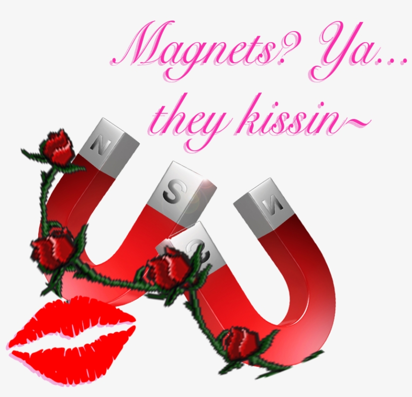Magnets Ya They Kissin~ ❤ [transparent] - Kiss Me Its My 22nd Birthday Shot Glass, transparent png