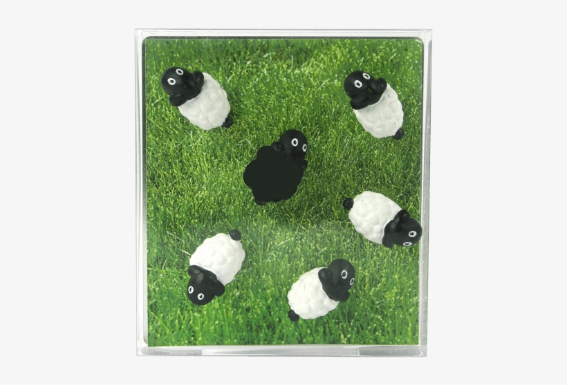 Trendform Ag Magnete Pecora Bnc/nr 6pz, transparent png