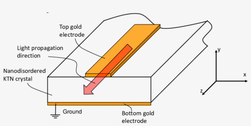 An Illustration Of Field Induced Dynamic Waveguiding - Diagram, transparent png