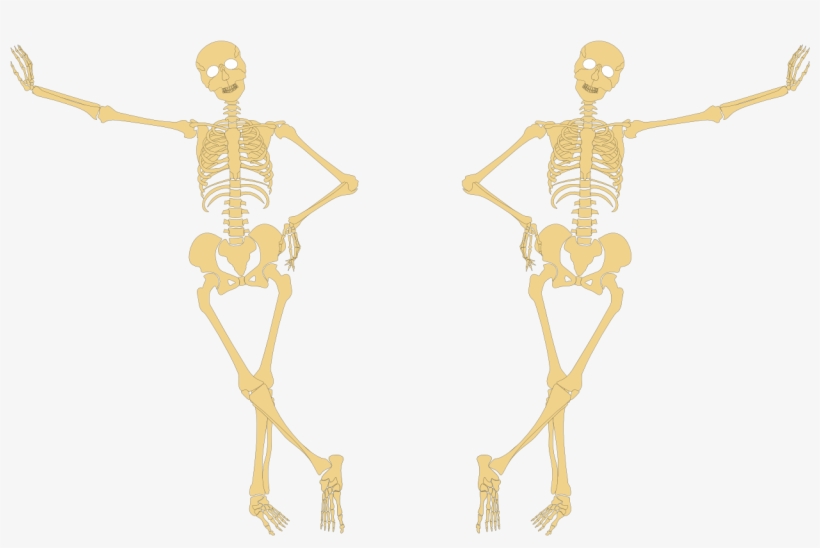 Esqueleto - Underlying Bone, transparent png