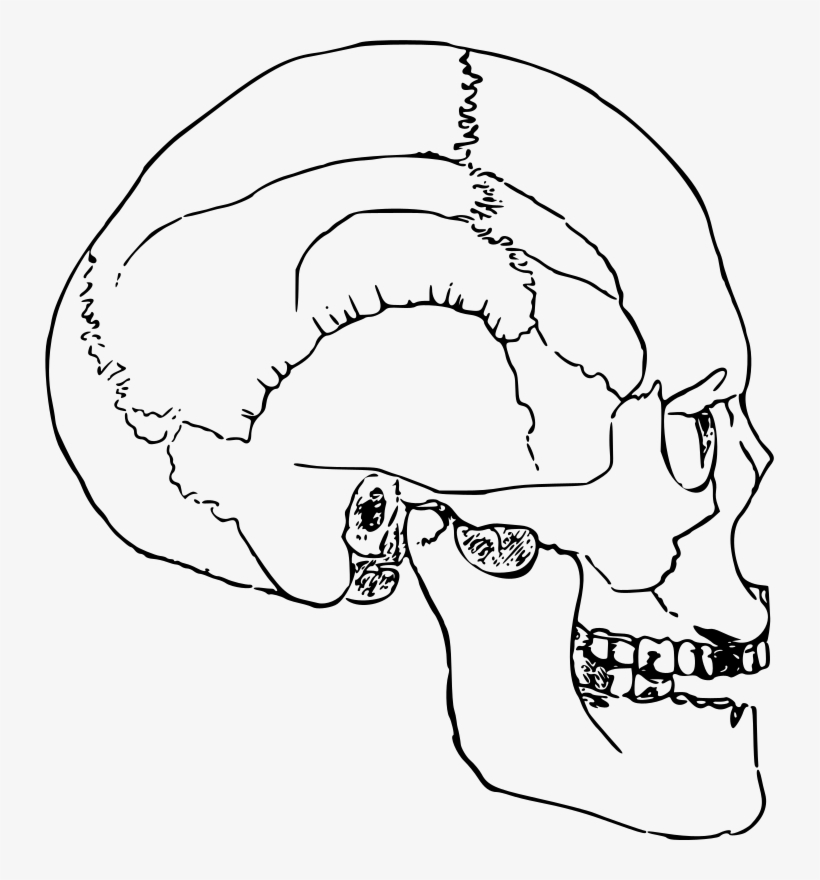 Imagem De Cabeca Esqueleto Clipart Skull Eye Clip Art - Sketsa Gambar Tengkorak Manusia, transparent png