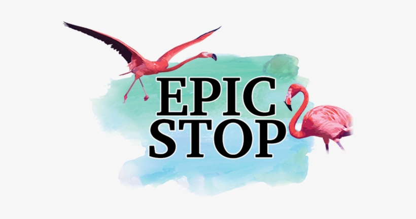 @avrilbabyyy - Greater Flamingo, transparent png