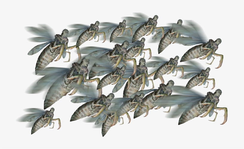 Traditional Games » Thread - D&d Swarm Of Insects, transparent png