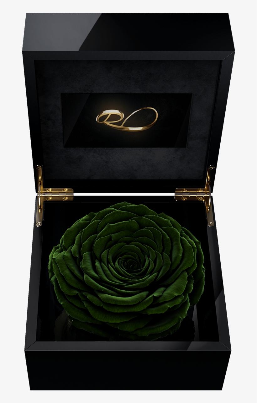 Luxury Video Flower Box Magna With A Xl Preserved Dark - Box, transparent png