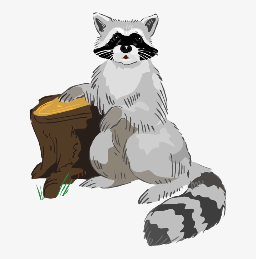 Free Raccoon Clipart - Raccoon Clip Art Free, transparent png