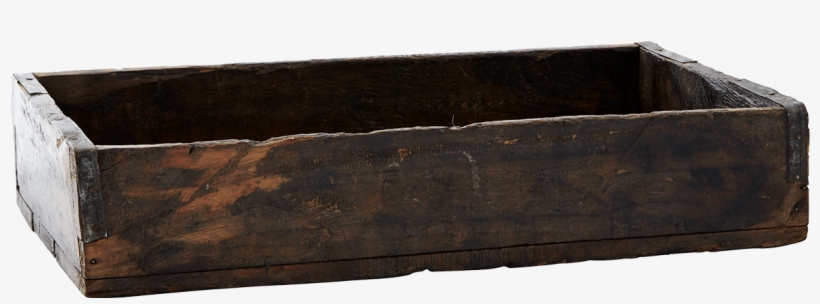 Trunk, transparent png