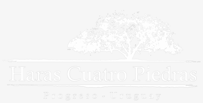 Home - Tree, transparent png