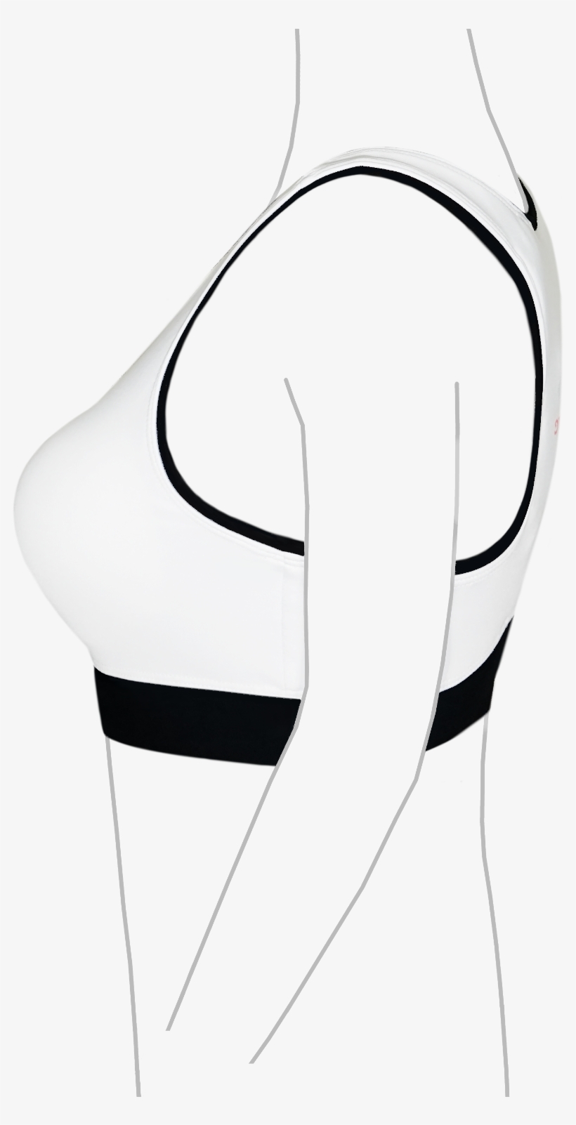 Banner Library Bra Clipart Right Arm - Chair, transparent png
