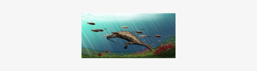Ancient 'hammerhead' Reptile Had This Weird Way Of - Dieren Uit De Prehistorie, transparent png