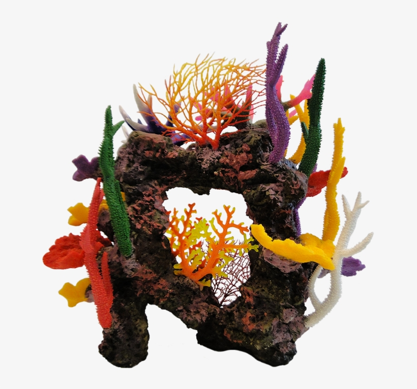 Mixed Coral On Natural Coloured Rock Aquarium Ornament - Marine Invertebrates, transparent png