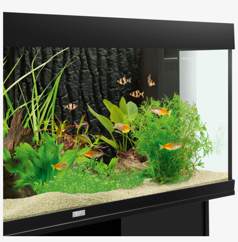 Find Dealer Facebook E-mail - Juwel Str 600 Background Review, transparent png