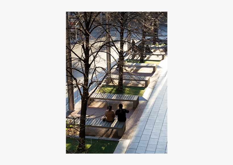 Banca Mayo De Hormigon Gris De Cruz Y Ortiz - Cruz Y Ortiz, transparent png