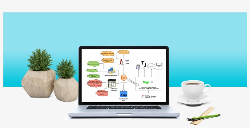 Find Out Why Over 5,000 Companies Rely On Orchid's - Houseplant, transparent png
