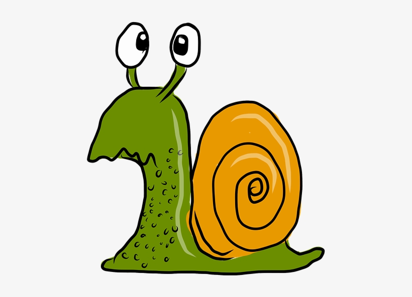 Related Wallpapers - Love Snails Shower Curtain, transparent png